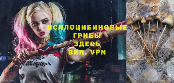 прущие крисы Балахна