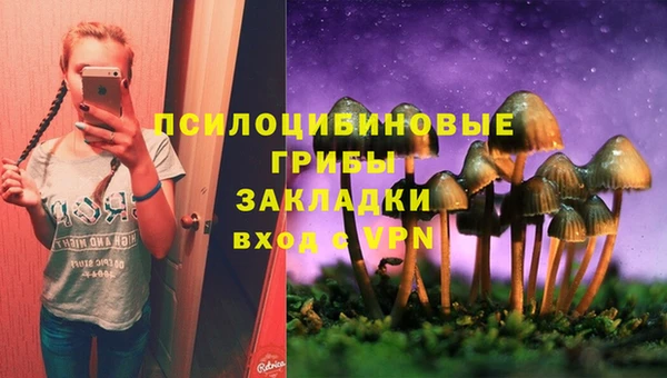 прущие крисы Балахна
